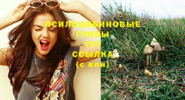 прущая мука Сафоново