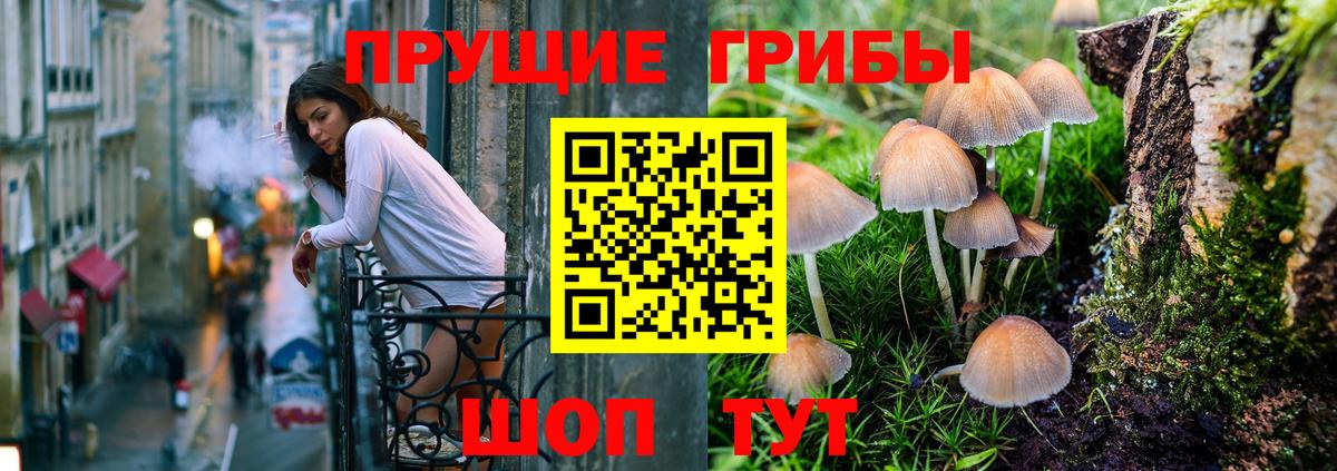 Псилоцибиновые грибы Magic Shrooms Чебаркуль