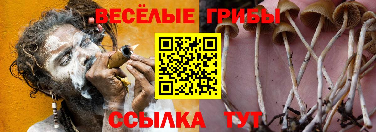 Галлюциногенные грибы мицелий  Галлюциногенные грибы Psilocybe  Вход с VPN  Чебаркуль 