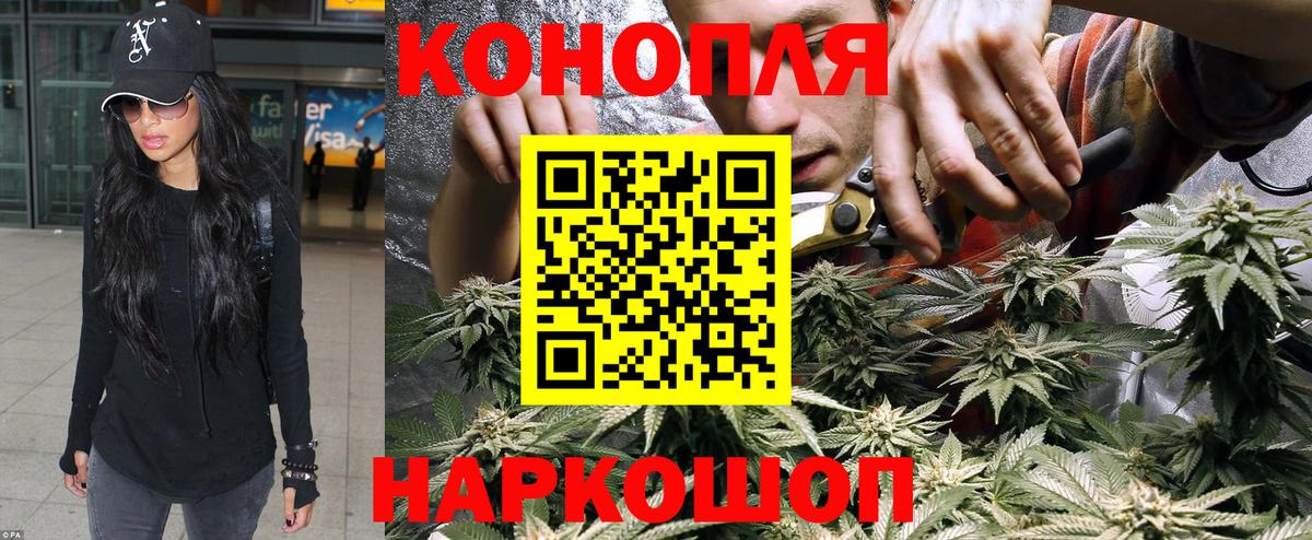 Бошки Шишки план  Бошки марихуана тримм  Вход с VPN  Марихуана AK-47  Чебаркуль  Бошки Шишки Bruce Banner 